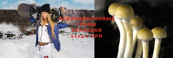 ECSTASY Новодвинск