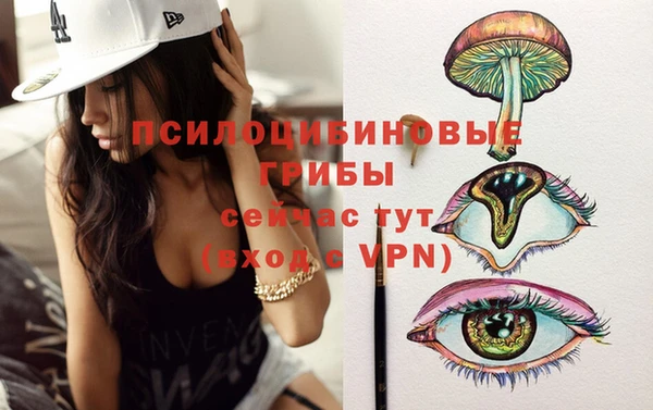 метадон Абаза