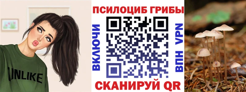 нарко площадка телеграм Покачи Галлюциногенные грибы Psilocybe